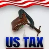 Us Tax Guide