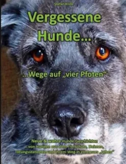 Vergessene Hunde