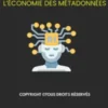 Vers un capitalisme de traces : L'économie des métadonnées