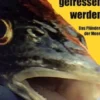 Vom Fressen und gefressen werden