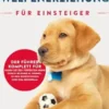 Welpenerziehung Für Einsteiger
