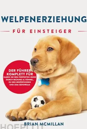 Welpenerziehung Für Einsteiger