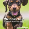 Welpenschule