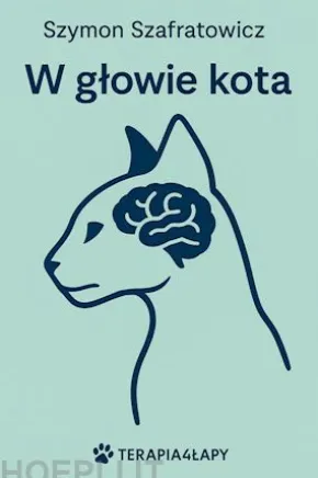 W glowie kota