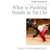 What is Pushing Hands in Tai Chi