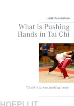 What is Pushing Hands in Tai Chi