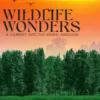 Wildlife Wonders - A Journey Into the Animal Kingdom