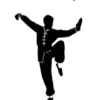 Wing Chun Kung Fu: The Path to Mastery