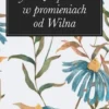 Wycieczki po Litwie w promieniach od Wilna