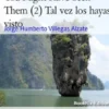 You Might Have Seen Them (2) Tal vez los hayas visto